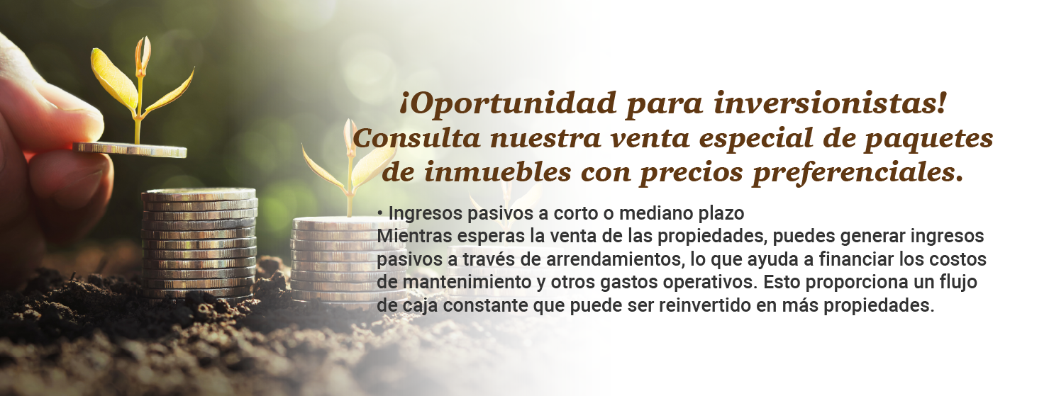 slider4_Mesa de trabajo 1